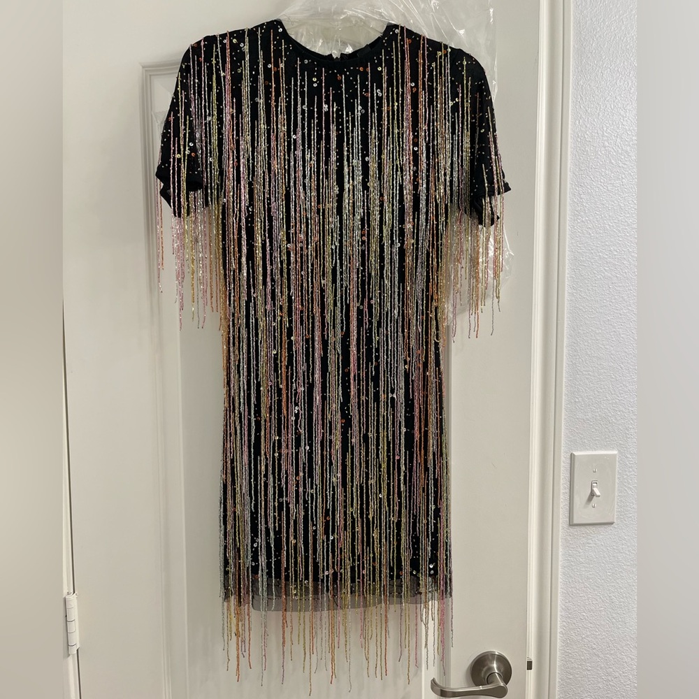 Beaded Fringe Dress - Picture 5 of 6